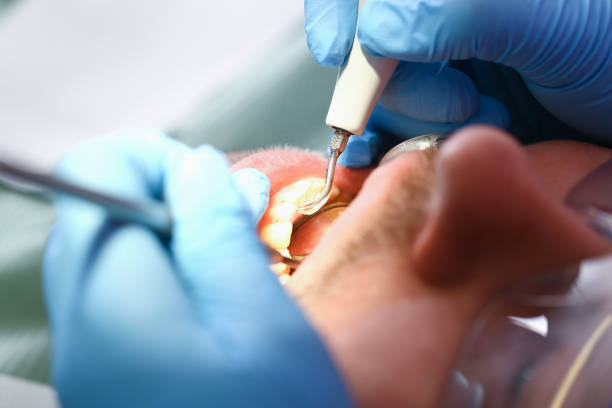 Best Pediatric Emergency Dentist in Swedeland, PA
